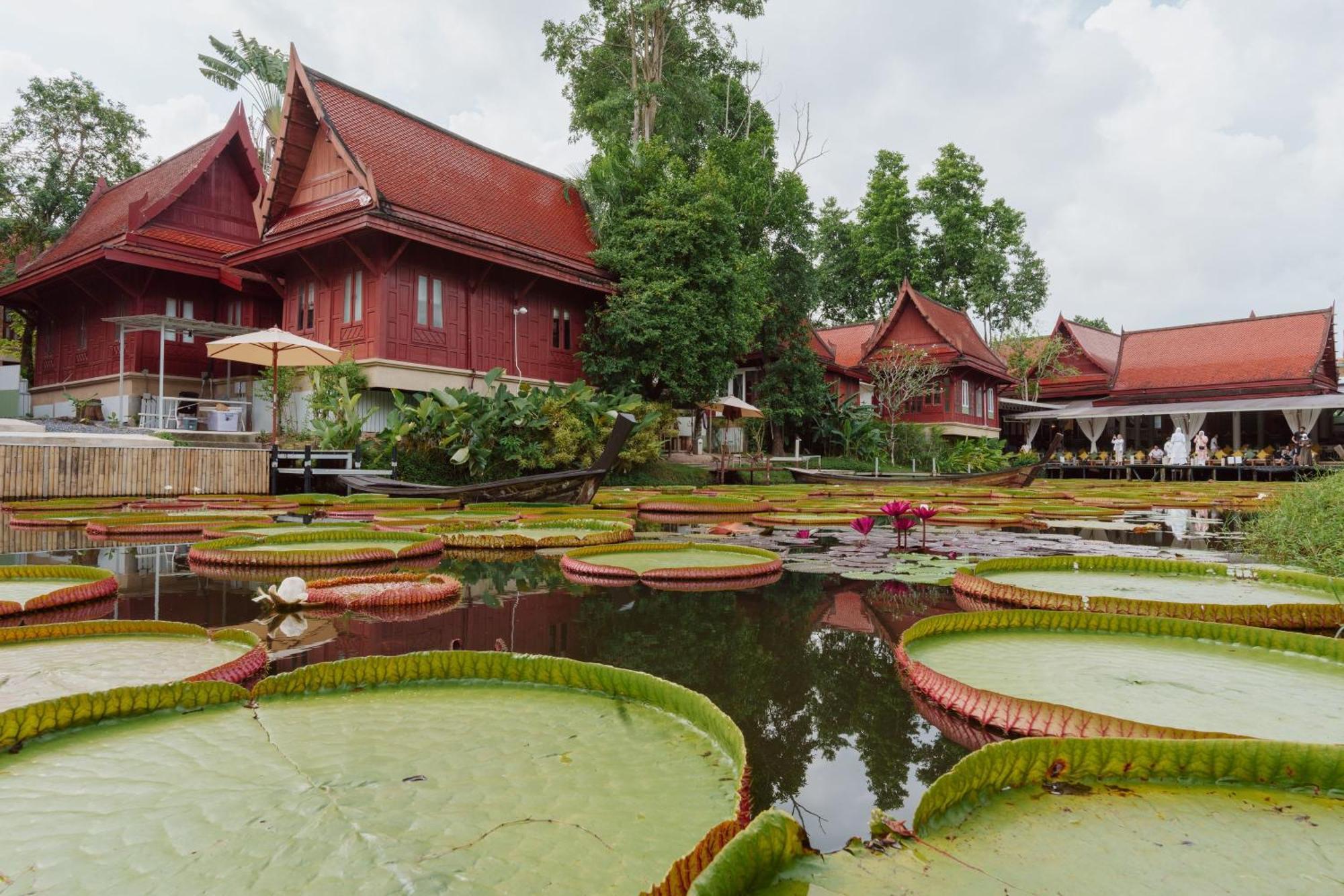 Ma Doo Bua Phuket - SHA Extra Plus Thalang Bagian luar foto